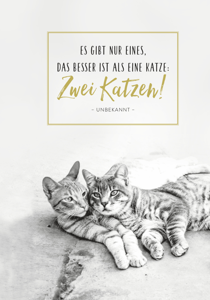 Bild: 4036442010440 | Buchkalender 2024: Für Katzenfreunde | Groh Verlag | Kalender | 144 S.