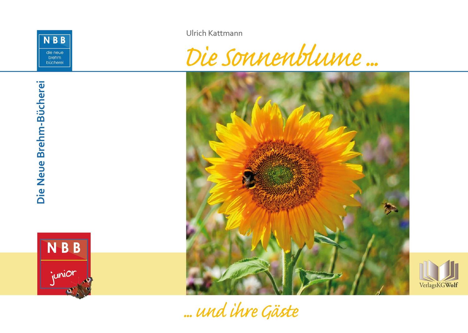 Cover: 9783894326647 | Die Sonnenblume und ihre Gäste | Ulrich Kattmann | Buch | NBB junior
