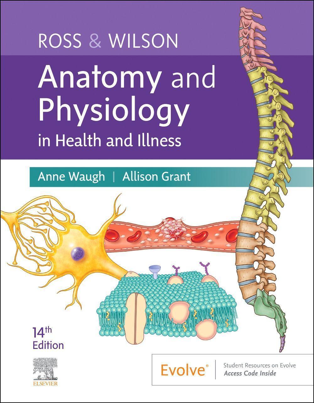 Cover: 9780323834605 | Ross & Wilson Anatomy and Physiology in Health and Illness | Buch