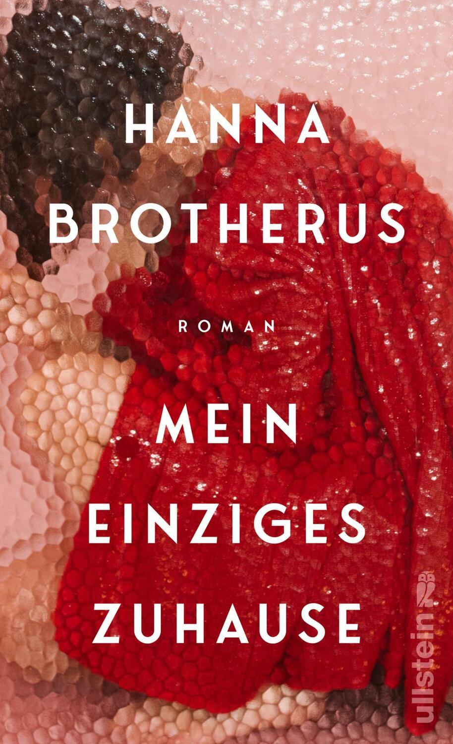 Cover: 9783550202384 | Mein einziges Zuhause | Hanna Brotherus | Buch | 400 S. | Deutsch