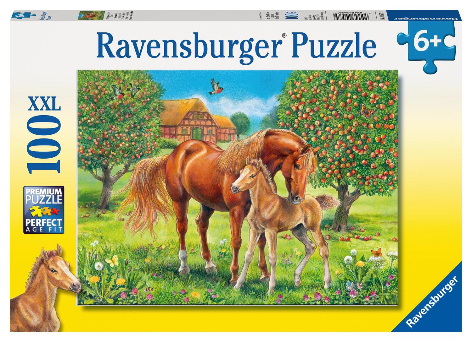 Cover: 4005556105779 | Pferdeglück auf Wiese Puzzle 100 Teile | Spiel | Deutsch | 2015