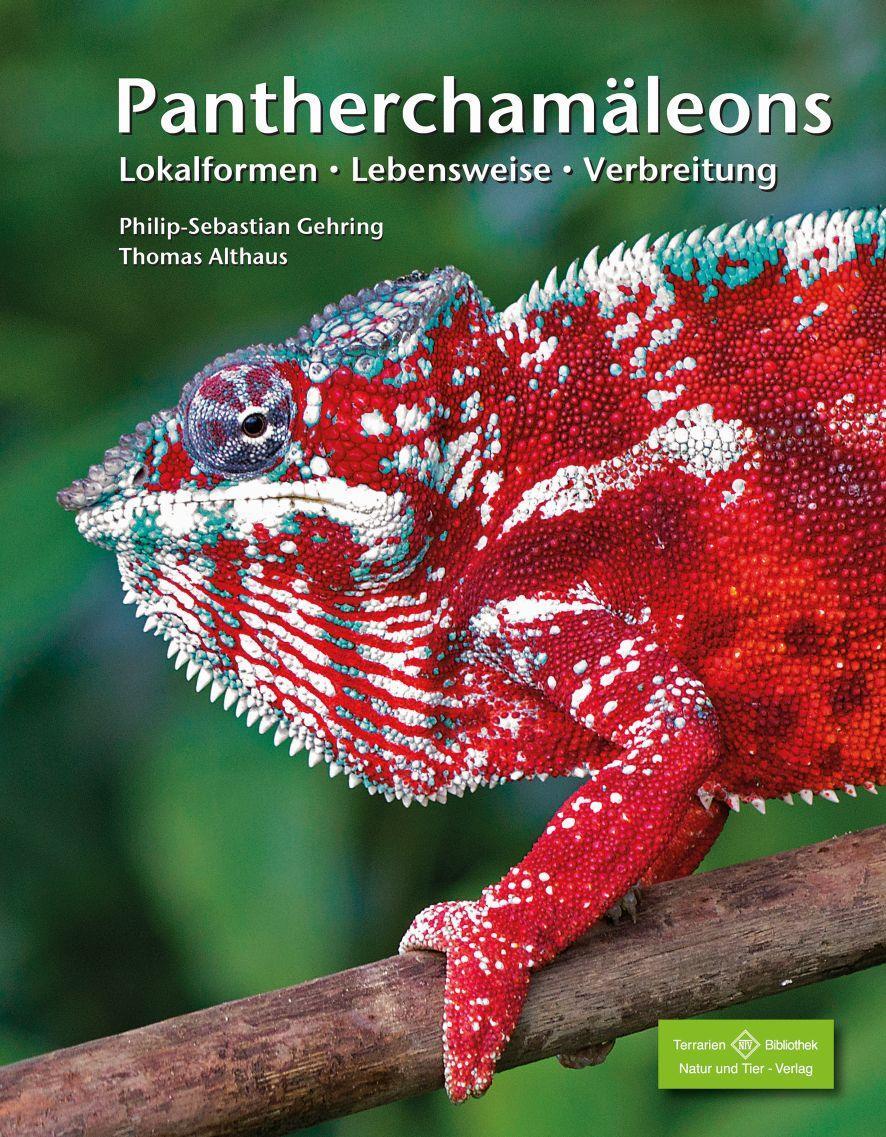 Cover: 9783866593077 | Pantherchamäleons | Lokalformen, Lebensweise, Verbreitung | Buch