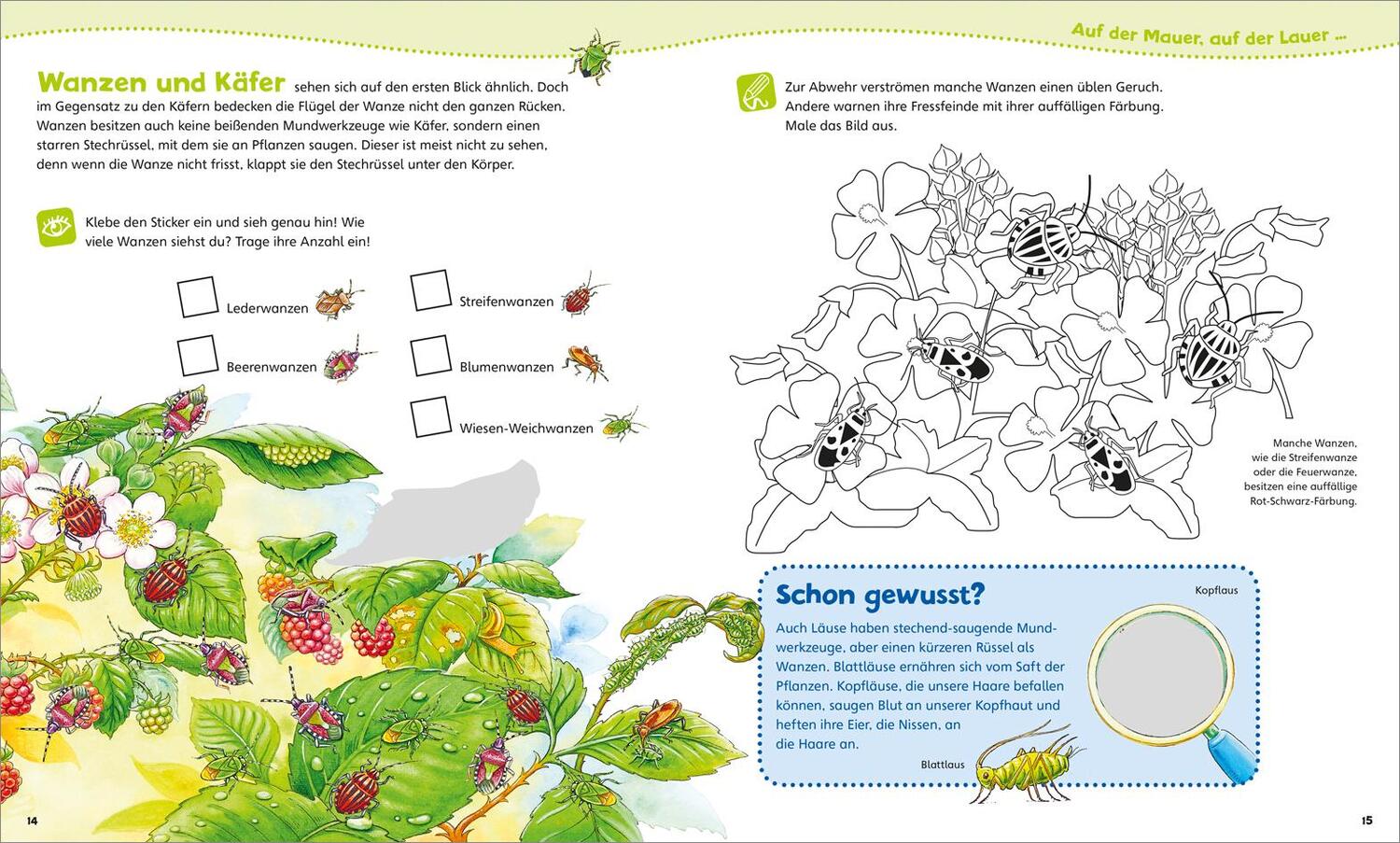 Bild: 9783788675738 | WAS IST WAS Junior Mitmach-Heft. Insekten | Spiele, Rätsel, Sticker