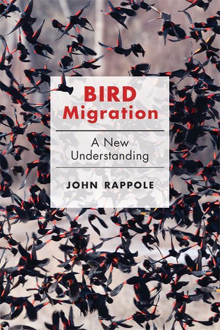 Cover: 9781421442389 | Bird Migration | A New Understanding | John H. Rappole | Buch | 2022
