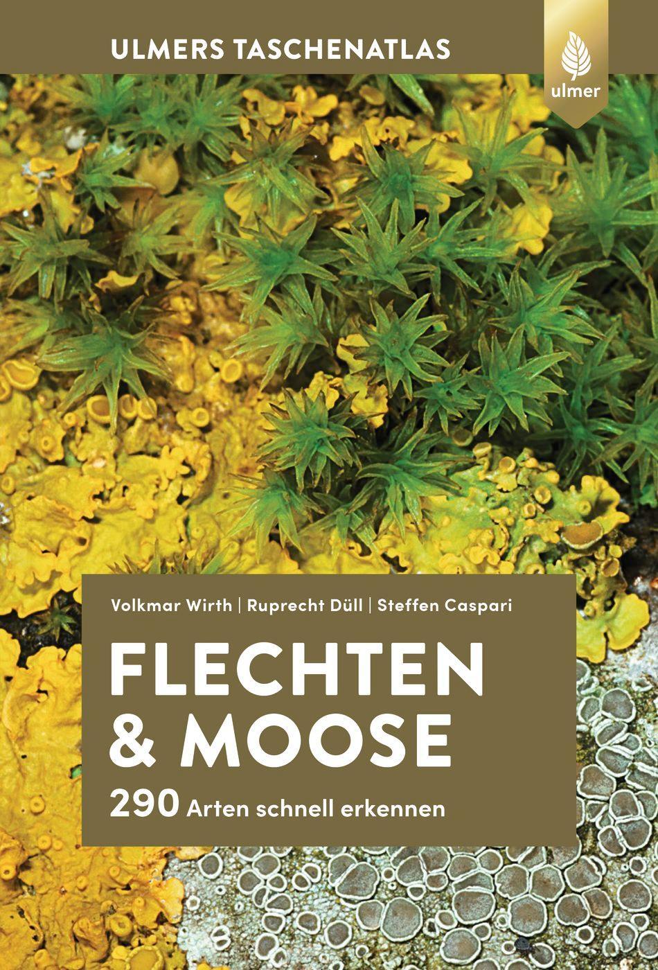 Cover: 9783818620509 | Flechten und Moose | 290 Arten schnell erkennen | Wirth (u. a.) | Buch