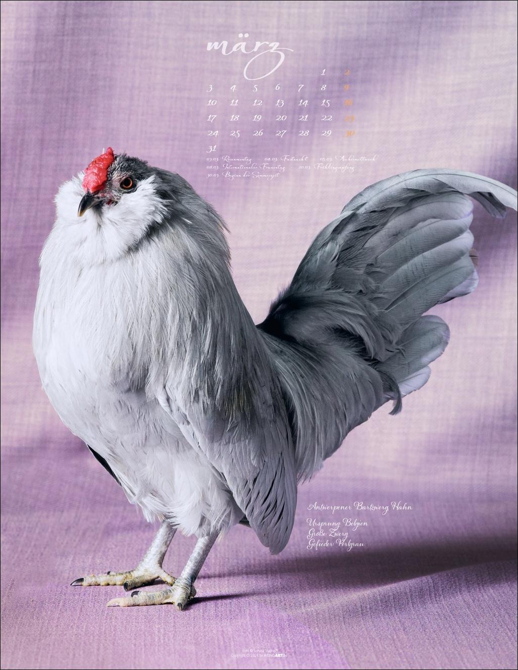 Bild: 9783839901045 | Pretty Chicks Kalender 2025 | Kalender | Spiralbindung | 14 S. | 2025