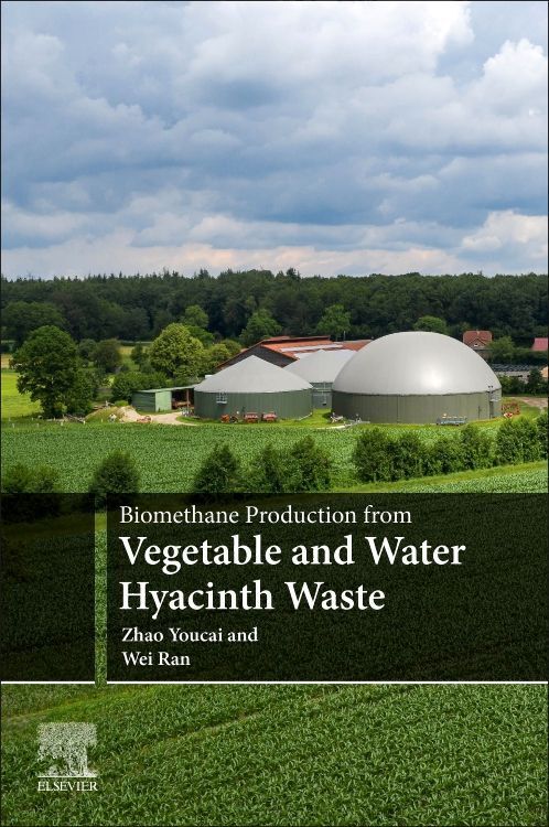 Cover: 9780128217634 | Biomethane Production from Vegetable and Water Hyacinth Waste | Buch