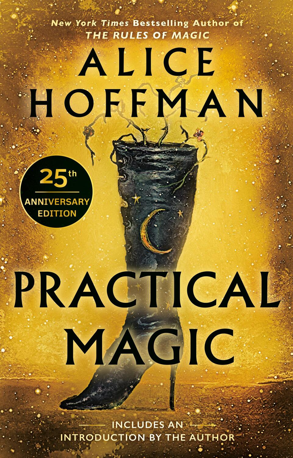 Cover: 9780425190371 | Practical Magic | Alice Hoffman | Taschenbuch | Englisch | 2003