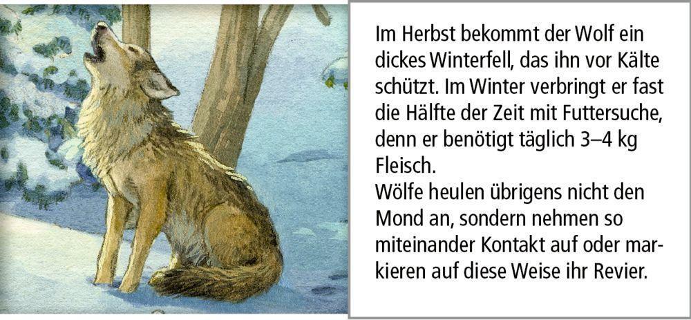 Bild: 4050003722573 | Sound-Adventskalender - Hört ihr die Tiere im Winterwald? | Kalender