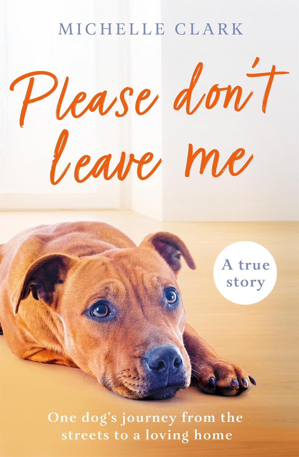 Cover: 9781409195450 | Please Don't Leave Me | Michelle Clark | Taschenbuch | Englisch | 2023