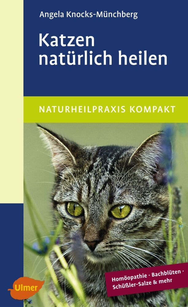 Cover: 9783800180677 | Katzen natürlich heilen | Angela Knocks-Münchberg | Taschenbuch | 2014