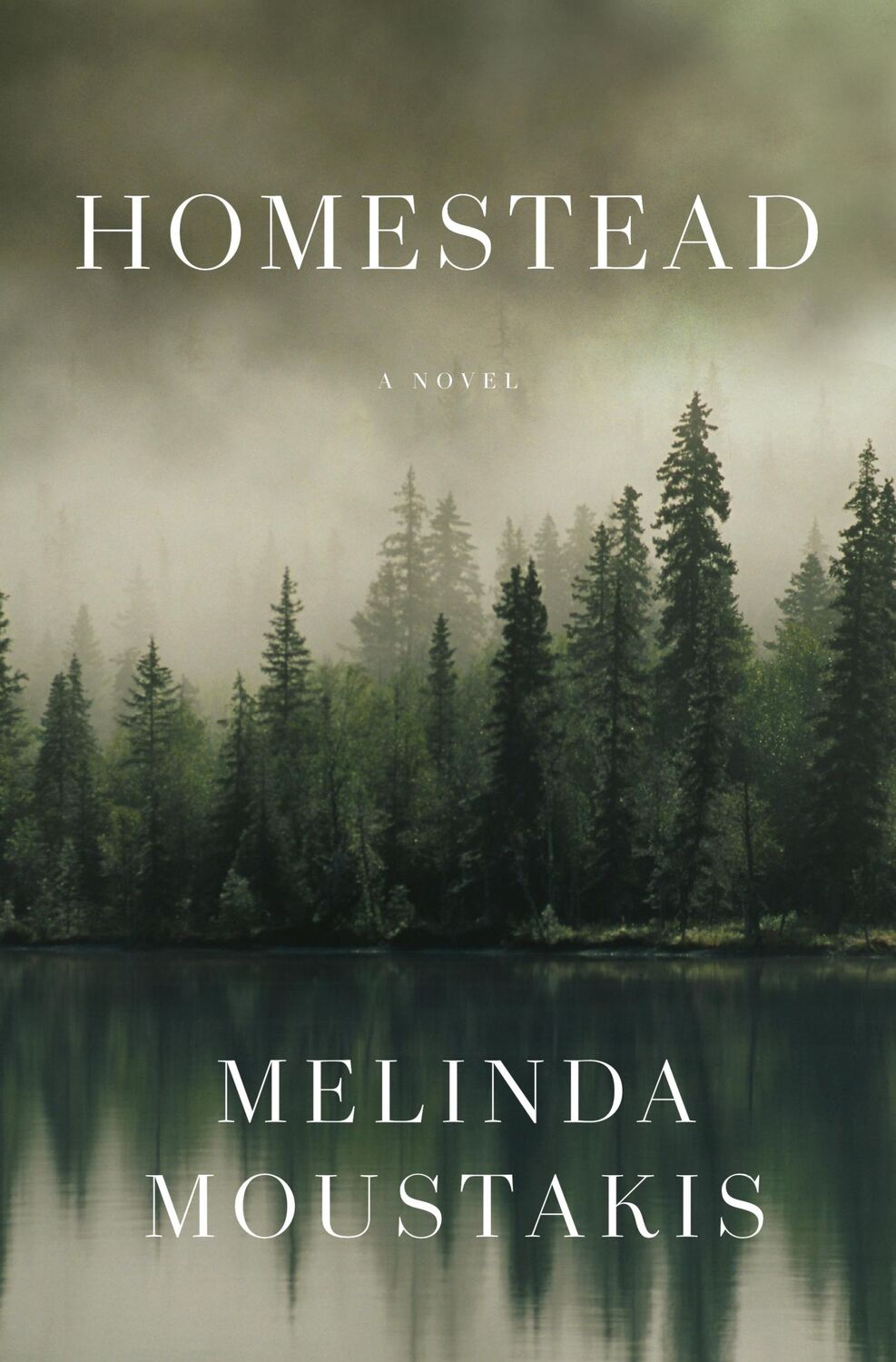 Cover: 9781250845573 | Homestead | Melinda Moustakis | Taschenbuch | Kartoniert / Broschiert