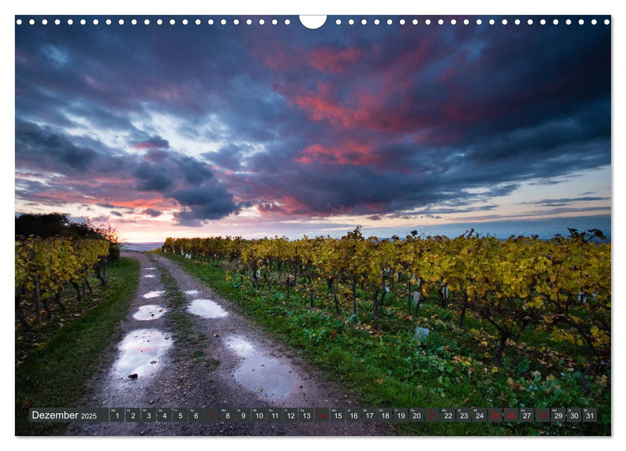 Bild: 9783435337705 | Wein - Landschaften (Wandkalender 2025 DIN A3 quer), CALVENDO...