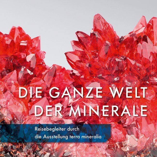 Cover: 9783954981380 | Die ganze Welt der Minerale | Anna Dziwetzki (u. a.) | Taschenbuch