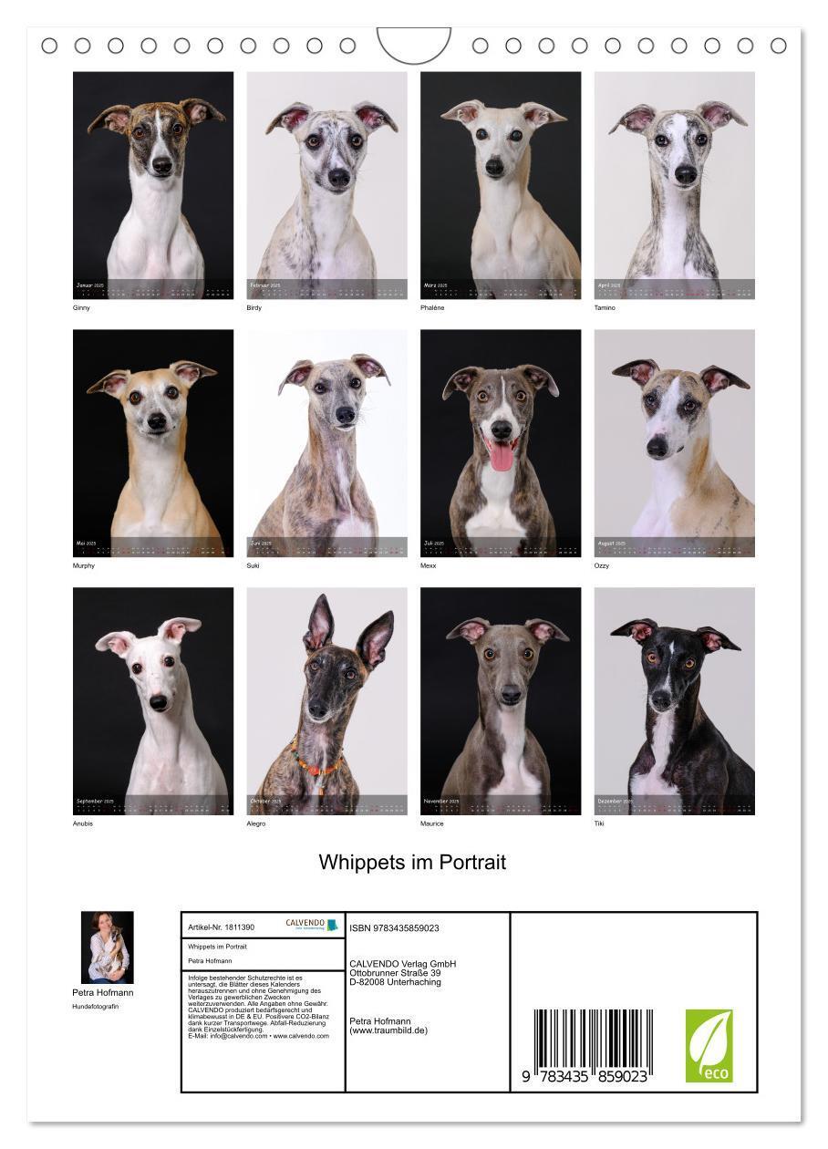 Bild: 9783435859023 | Whippets im Portrait (Wandkalender 2025 DIN A4 hoch), CALVENDO...