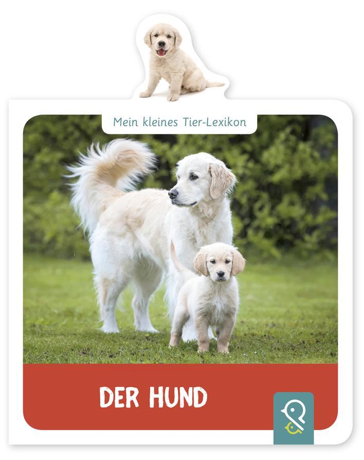 Cover: 9783946360308 | Mein kleines Tier-Lexikon - Der Hund | Hannah Kastenhuber | Buch