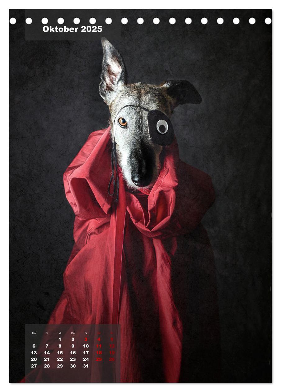 Bild: 9783435920884 | UNDERDOG - Windhundportraits (Tischkalender 2025 DIN A5 hoch),...