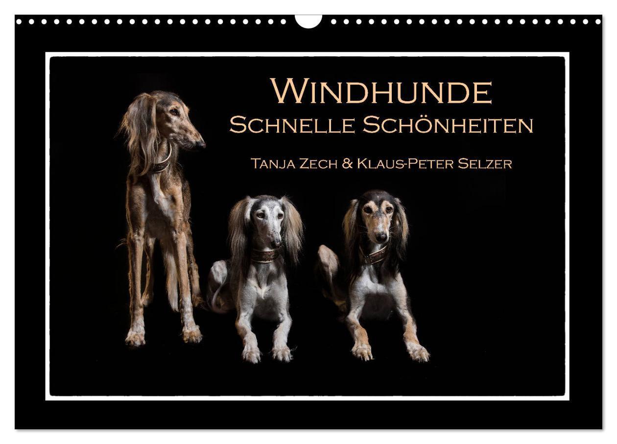 Cover: 9783675815827 | Windhunde - Schnelle Schönheiten (Wandkalender 2024 DIN A3 quer),...
