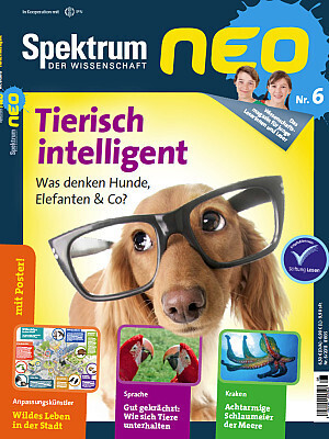 Cover: 9783943702439 | Tierisch intelligent | Was denken Hunde, Elefanten & Co. | Taschenbuch