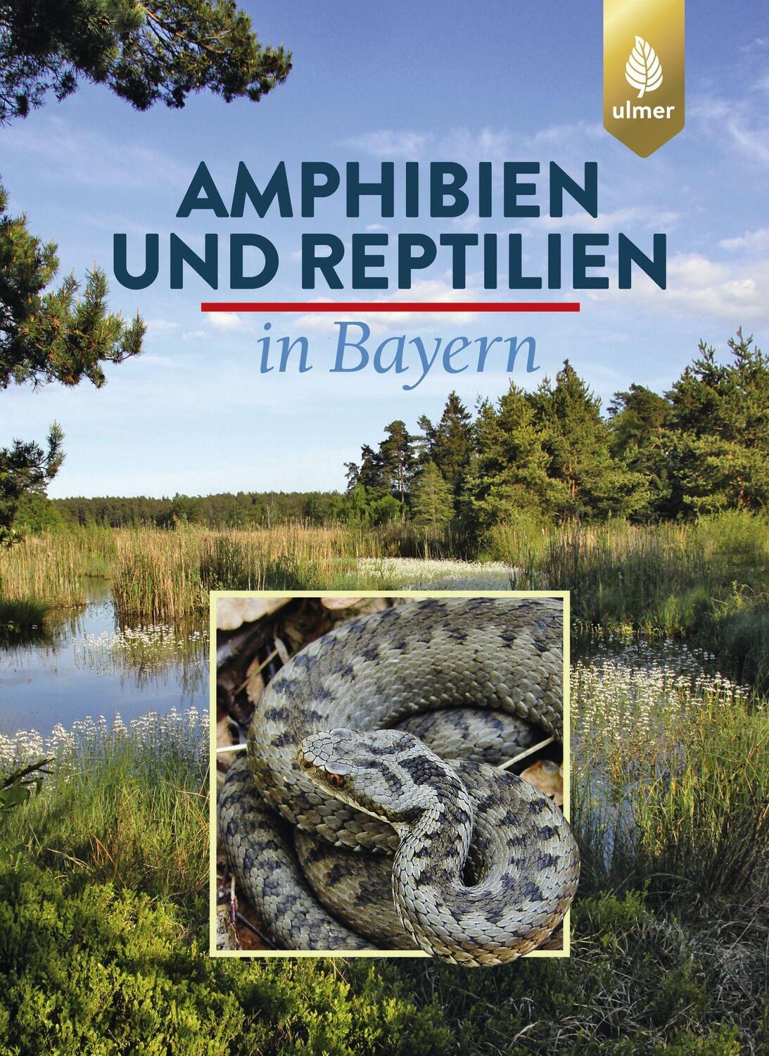 Cover: 9783818603793 | Amphibien und Reptilien in Bayern | Eberhard Andrä (u. a.) | Buch