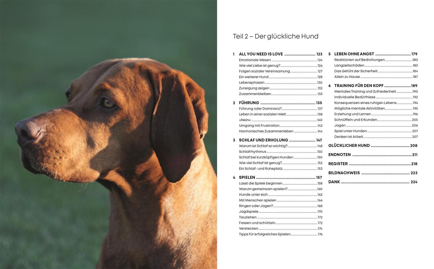 Bild: 9783831043958 | Glücklicher Hund | Gwen Bailey | Buch | 224 S. | Deutsch | 2022