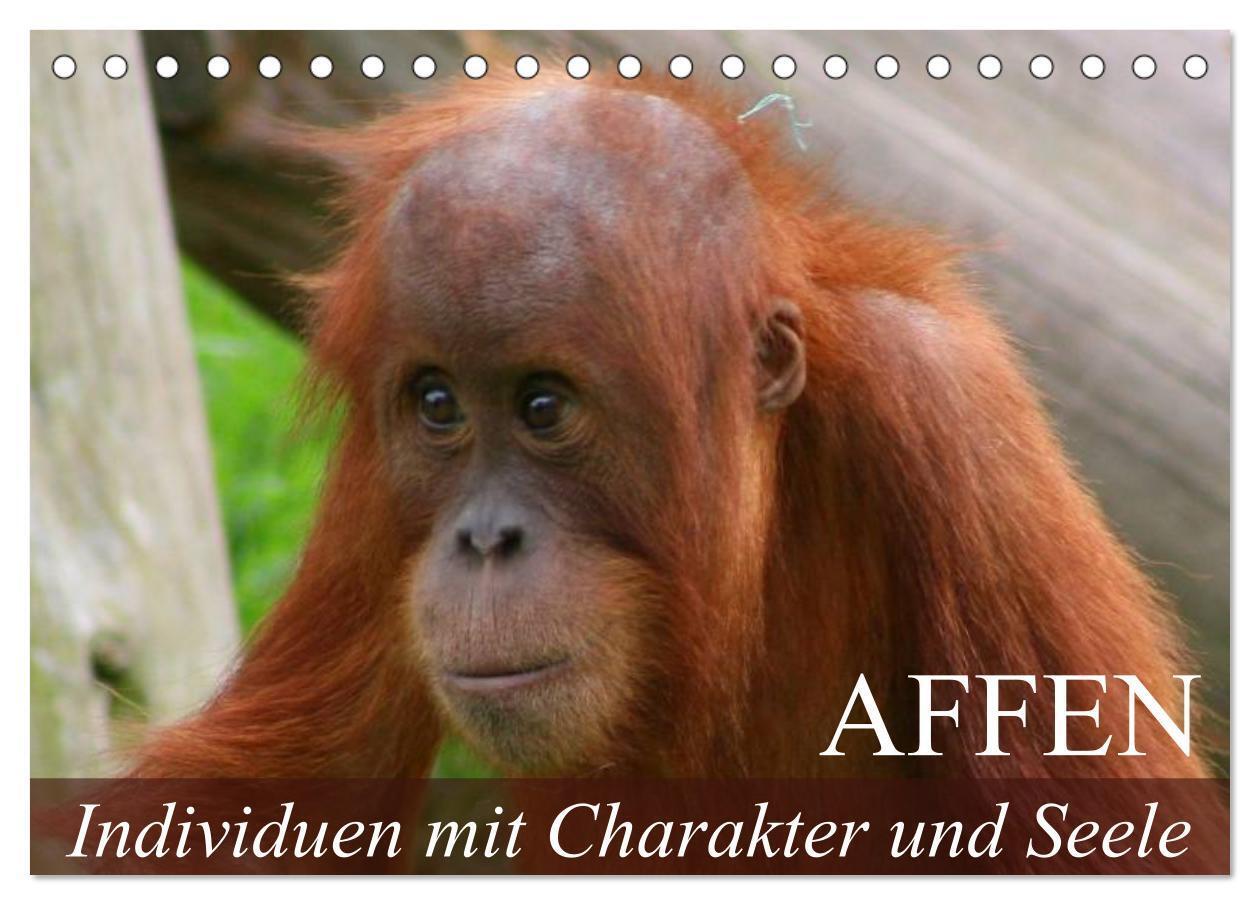 Cover: 9783383525704 | Affen - Individuen mit Charakter und Seele (Tischkalender 2024 DIN...