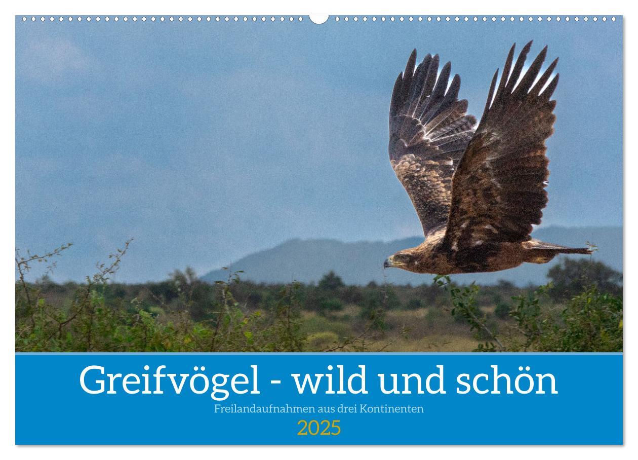 Cover: 9783383893650 | Greifvögel - wild und schön (Wandkalender 2025 DIN A2 quer),...