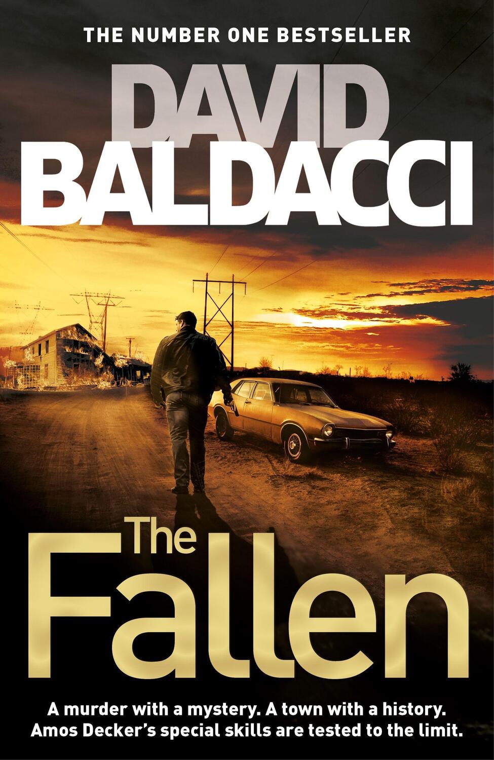 Cover: 9781509874231 | The Fallen | David Baldacci | Buch | Amos Decker series | Englisch