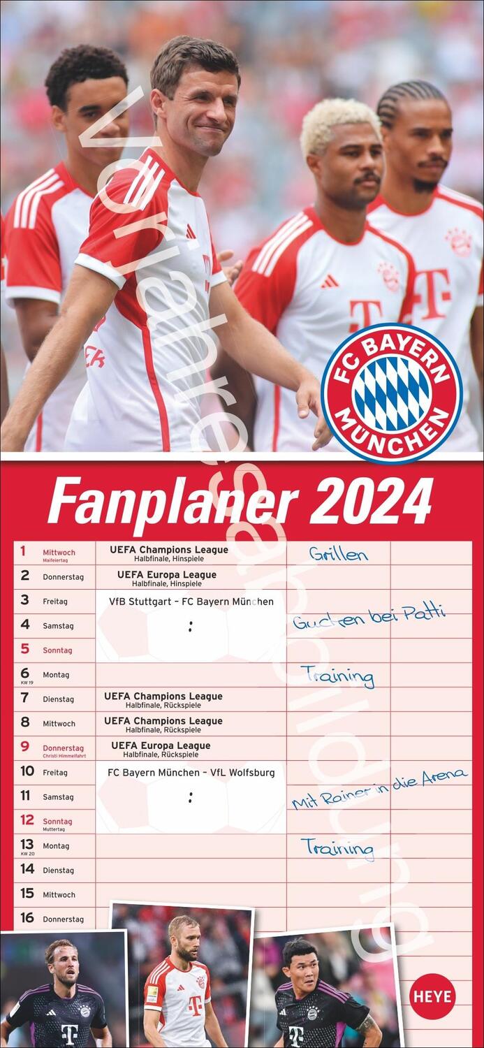 Cover: 9783756406166 | FC Bayern München Fanplaner 2025 | Heye | Kalender | Spiralbindung