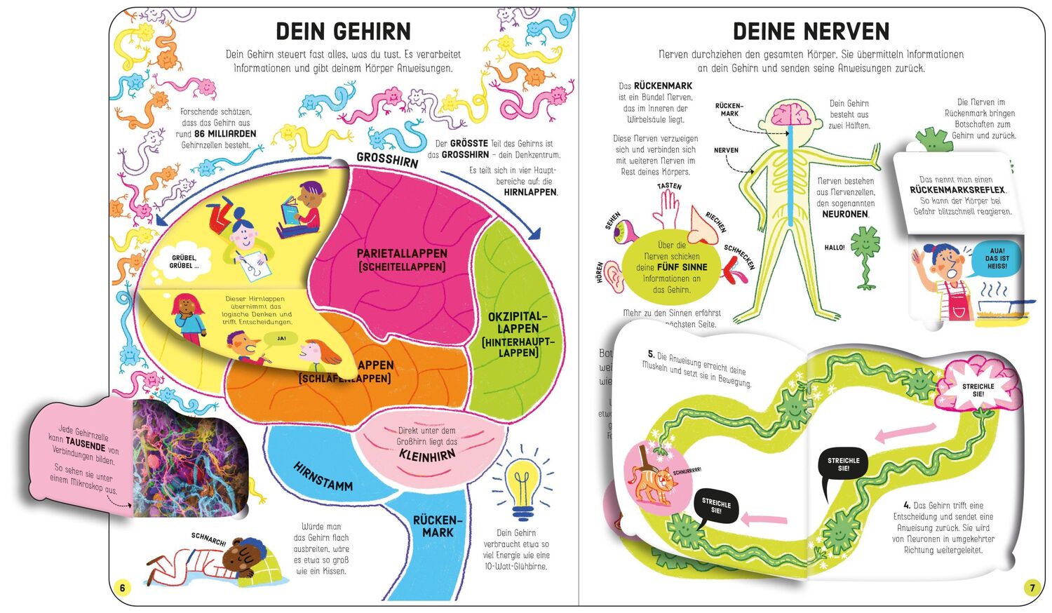 Bild: 9781789416138 | Was mein Körper alles kann | mit über 90 Klappen | Rosie Dickins