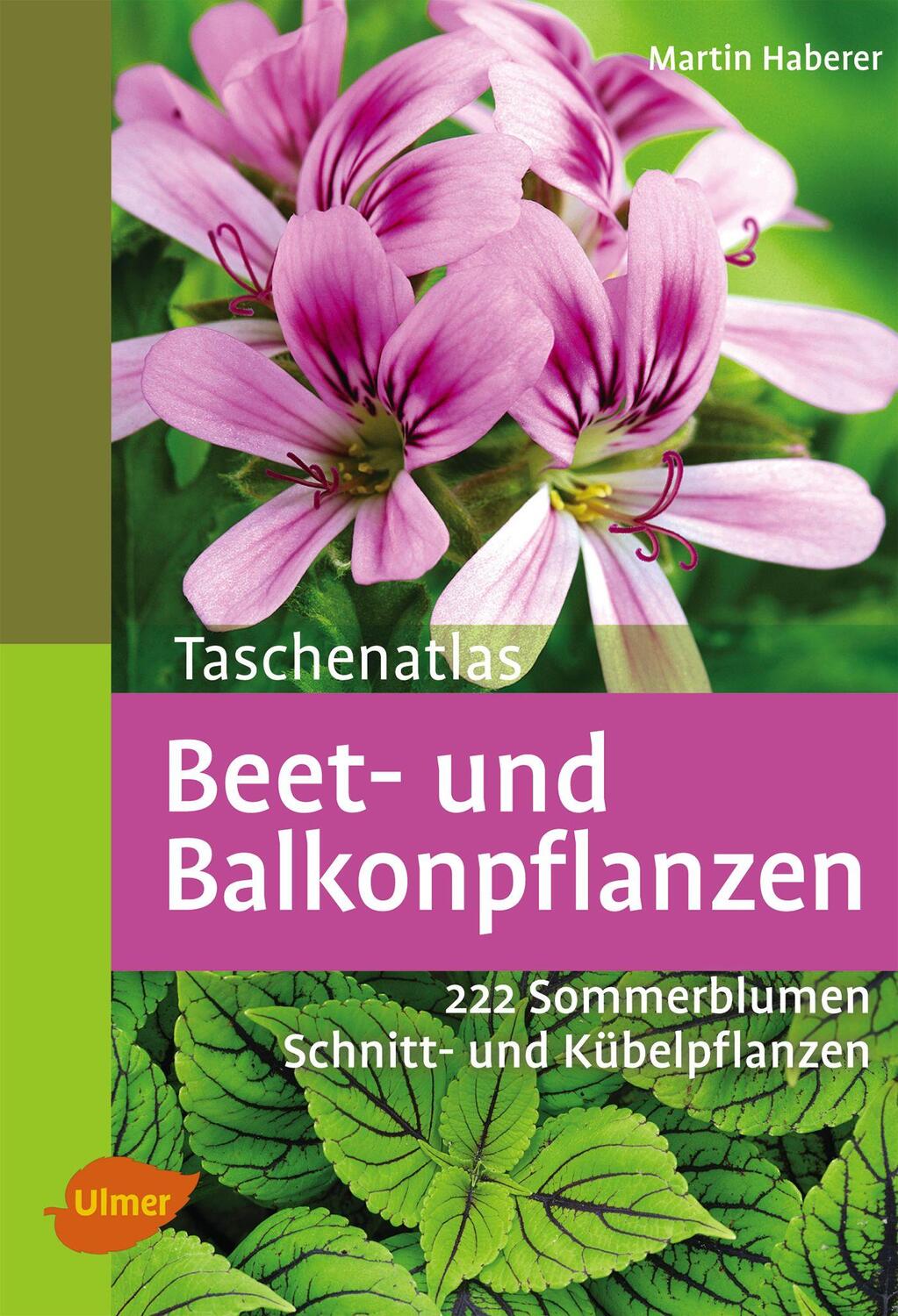 Cover: 9783800146598 | Taschenatlas Beet- und Balkonpflanzen | Martin Haberer | Taschenbuch