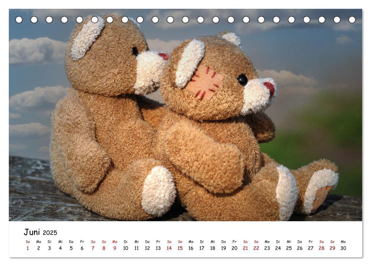 Bild: 9783383964459 | Allerliebste Teddybären (Tischkalender 2025 DIN A5 quer), CALVENDO...