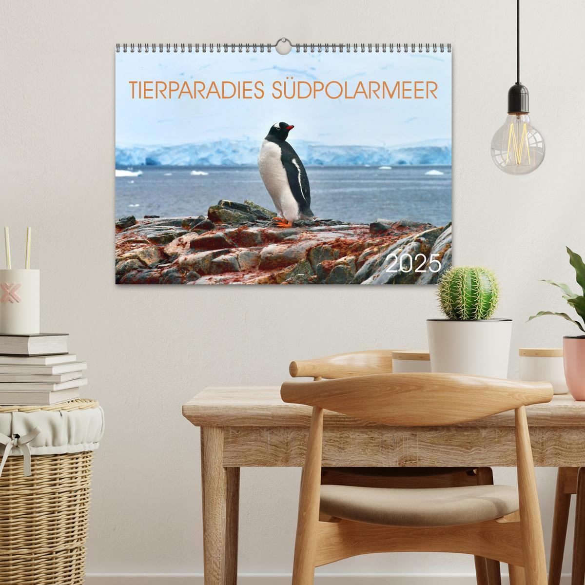 Bild: 9783435124565 | Tierparadies Südpolarmeer (Wandkalender 2025 DIN A3 quer), CALVENDO...