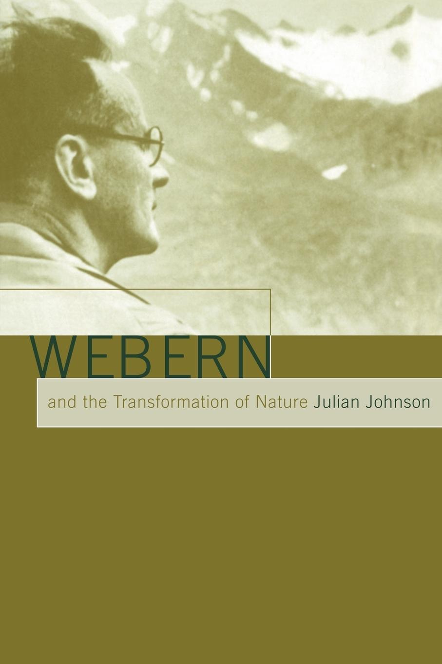 Cover: 9780521027861 | Webern and the Transformation of Nature | Julian Johnson | Taschenbuch