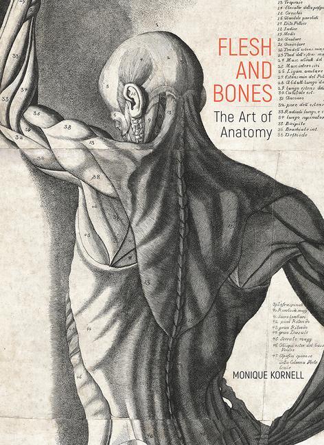 Cover: 9781606067697 | Flesh and Bones | The Art of Anatomy | Monique Kornell | Buch | 2022