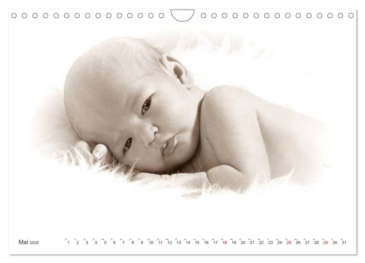 Bild: 9783435707362 | Babys - Willkommen im Leben (Wandkalender 2025 DIN A4 quer),...