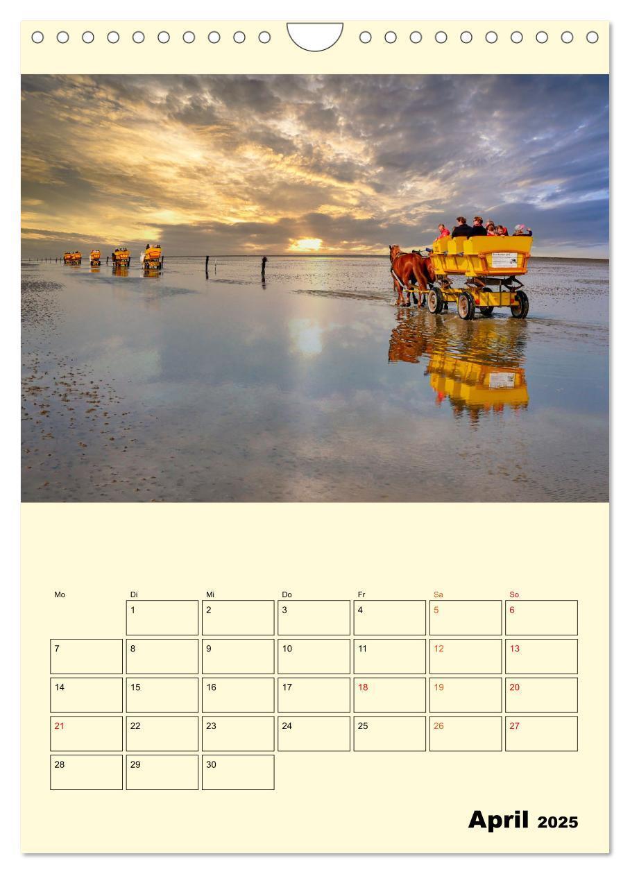 Bild: 9783435904303 | Meine geliebte Nordsee (Wandkalender 2025 DIN A4 hoch), CALVENDO...