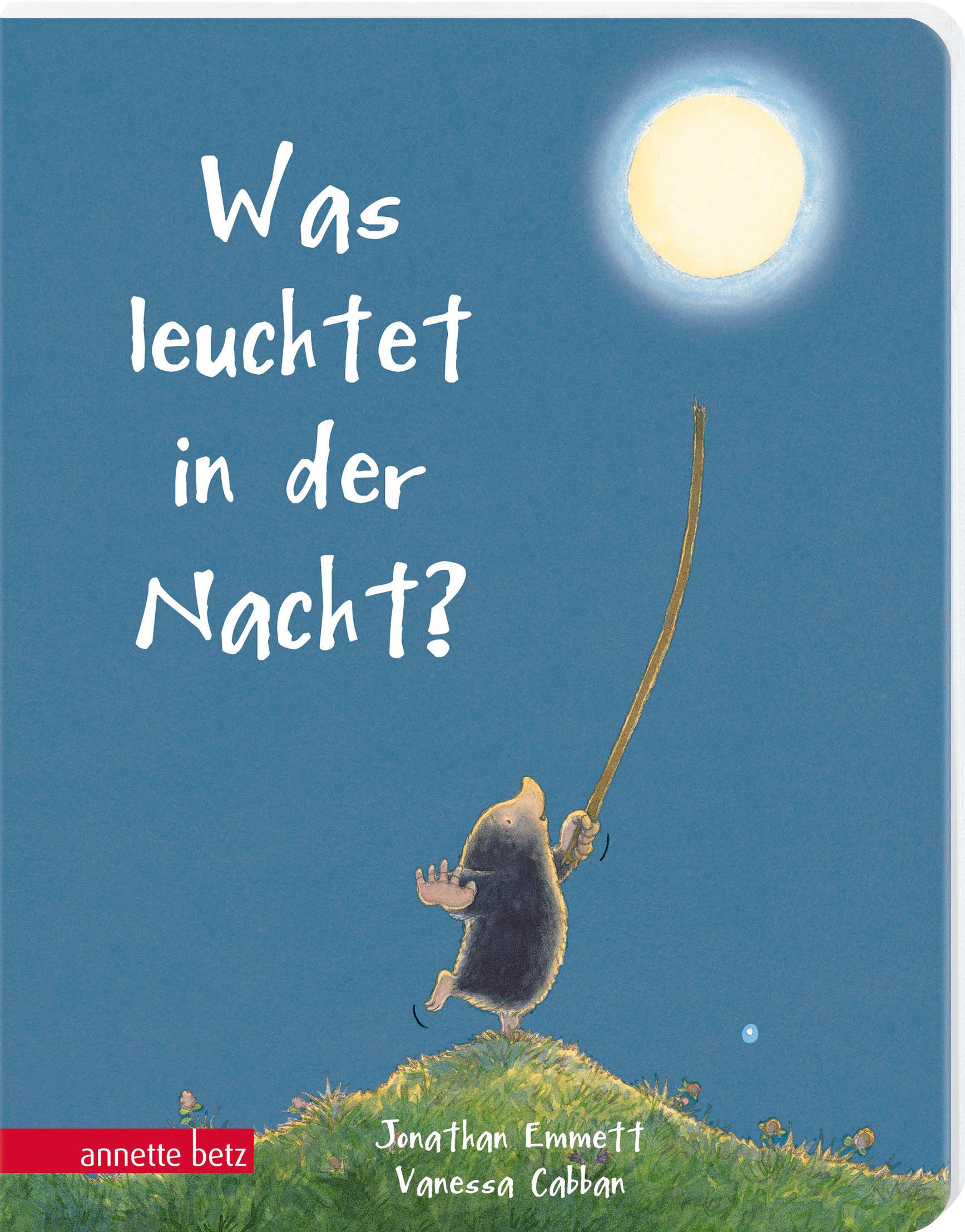 Cover: 9783219120103 | Was leuchtet in der Nacht? | Jonathan Emmett | Buch | 24 S. | Deutsch