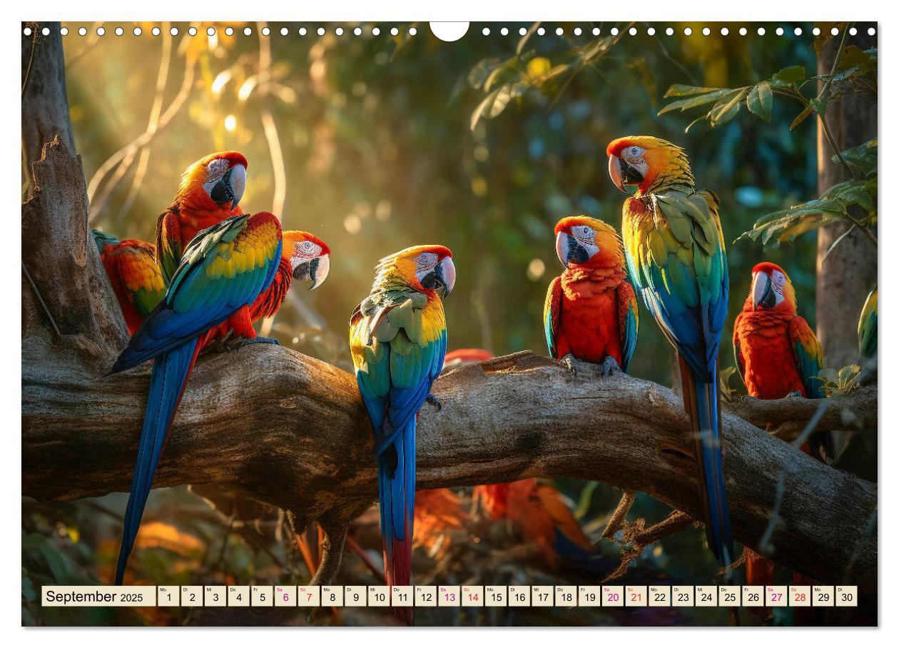 Bild: 9783383906381 | Papageien - Ara (Wandkalender 2025 DIN A3 quer), CALVENDO...