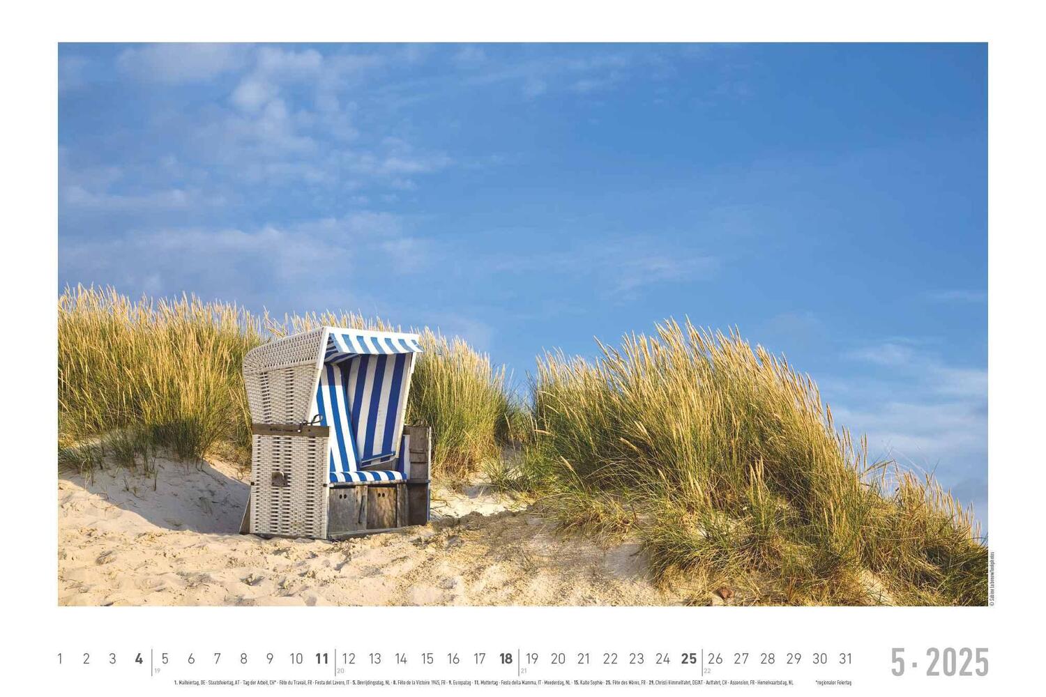 Bild: 4251732343392 | Seeblick 2025 - Bildkalender quer 49,5x33 cm - Sea View - die...