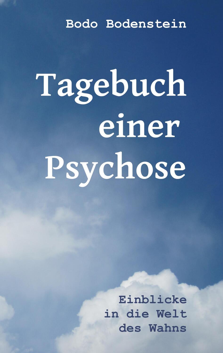 Cover: 9783837016772 | Tagebuch einer Psychose | Einblicke in die Welt des Wahns | Bodenstein