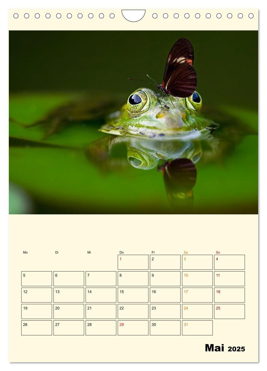 Bild: 9783435904563 | Lustig verrückt - der Tierkalender (Wandkalender 2025 DIN A4 hoch),...