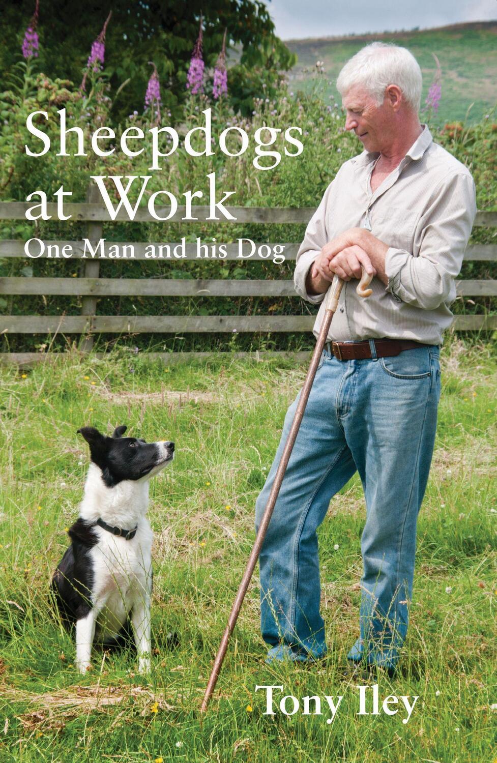 Cover: 9780857160201 | SHEEPDOGS AT WORK | One Man and His Dog | Tony Iley | Englisch | 2019