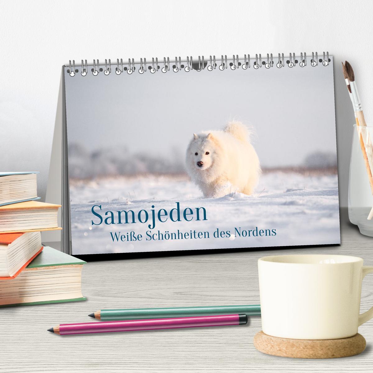 Bild: 9783435476244 | Samojeden - Liebenswerte Fellkugeln (Tischkalender 2025 DIN A5...