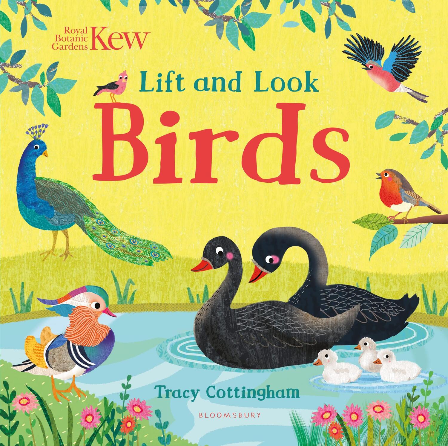Cover: 9781526636843 | Kew: Lift and Look Birds | Buch | Papp-Bilderbuch | Englisch | 2022