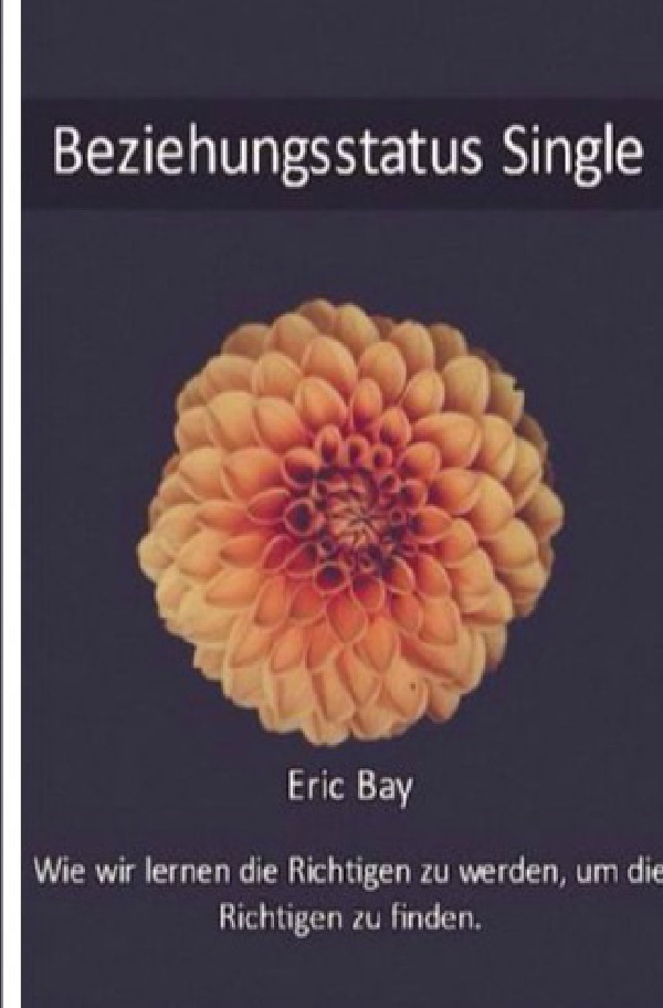 Cover: 9783745030624 | Beziehungsstatus Single | Eric Bay | Taschenbuch | 120 S. | Deutsch