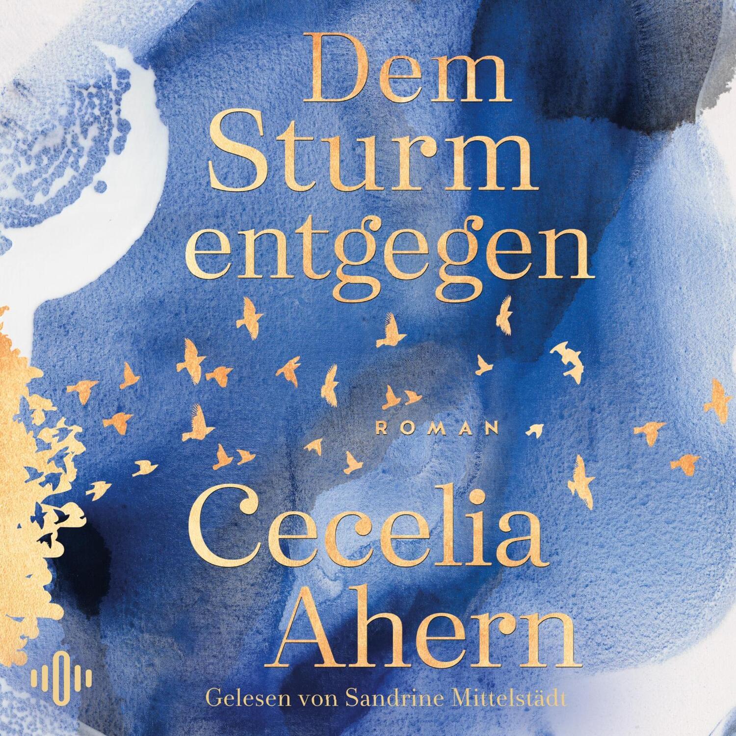 Cover: 9783869525570 | Dem Sturm entgegen | 2 CDs | Cecelia Ahern | MP3 | 2 Audio-CDs | 2024