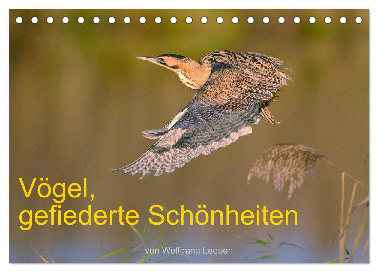 Cover: 9783675724600 | Vögel, Gefiederte Schönheiten (Tischkalender 2024 DIN A5 quer),...