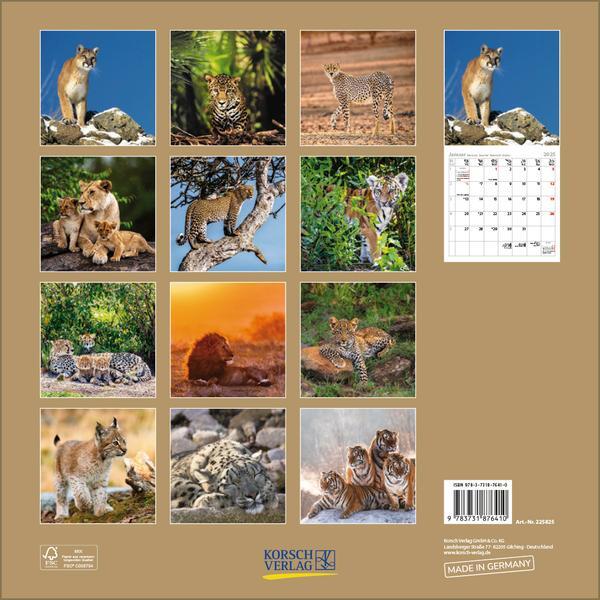 Bild: 9783731876410 | Big Cats 2025 | Verlag Korsch | Kalender | 13 S. | Deutsch | 2025