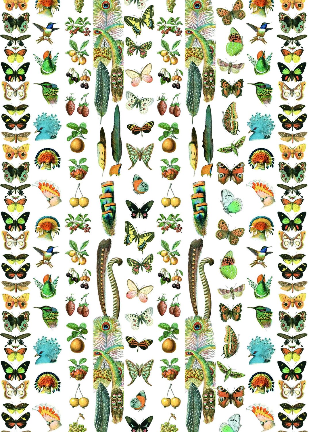 Bild: 9789460094224 | Natural History - Labels, Stickers &amp; Tape | Pepin van Roojen | Stück